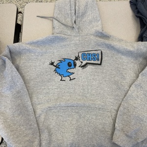 Gray Hooded Sweatshirt with David